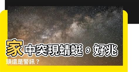 蜻蜓入 屋 風水|【家裡出現蜻蜓代表什麼】家中突現蜻蜓，好兆頭還是警訊？